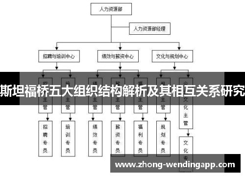 斯坦福桥五大组织结构解析及其相互关系研究