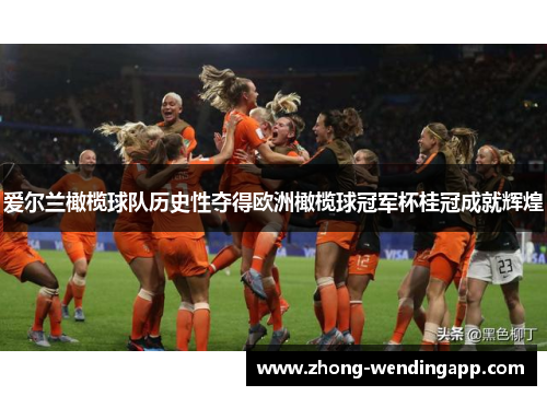 爱尔兰橄榄球队历史性夺得欧洲橄榄球冠军杯桂冠成就辉煌