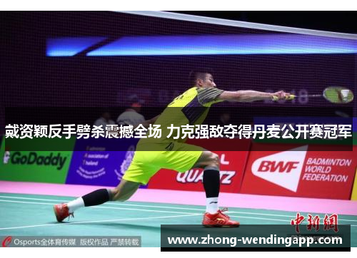 戴资颖反手劈杀震撼全场 力克强敌夺得丹麦公开赛冠军 戴资颖反手劈杀震撼全场 力克强敌夺得丹麦公开赛冠军