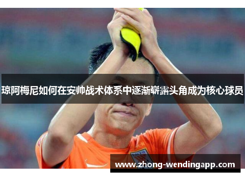 琼阿梅尼如何在安帅战术体系中逐渐崭露头角成为核心球员