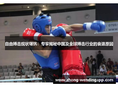 自由搏击现状堪忧：专家揭秘中国及全球搏击行业的衰退原因