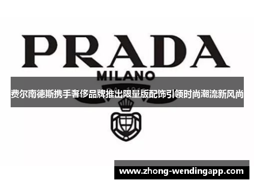 费尔南德斯携手奢侈品牌推出限量版配饰引领时尚潮流新风尚