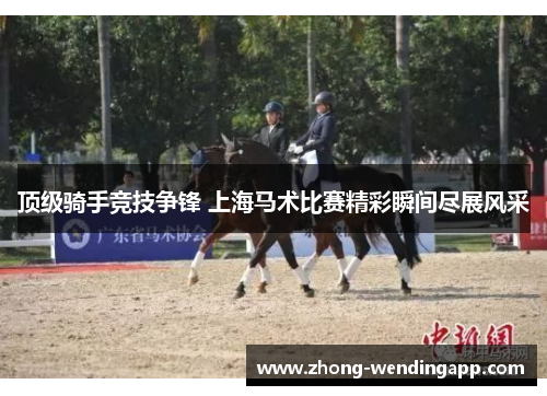 顶级骑手竞技争锋 上海马术比赛精彩瞬间尽展风采 顶级骑手竞技争锋 上海马术比赛精彩瞬间尽展风采