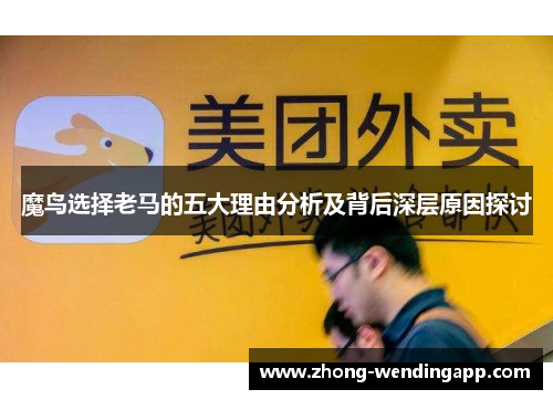 魔鸟选择老马的五大理由分析及背后深层原因探讨 魔鸟选择老马的五大理由分析及背后深层原因探讨